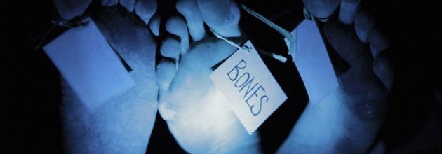 Bones Bones